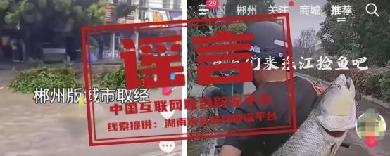 郴州市民暴雨后水中抓鱼？假的！谣言不实！