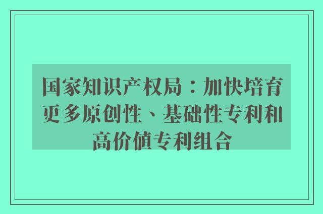 国家知识产权局：加快培育更多原创性、基础性专利和高价值专利组合