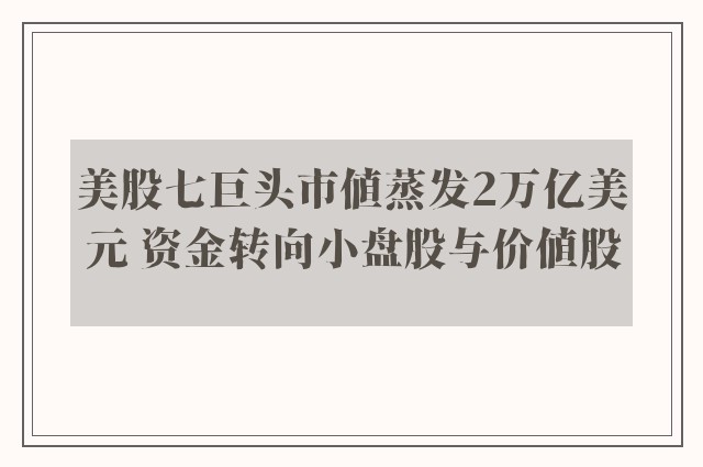 美股七巨头市值蒸发2万亿美元 资金转向小盘股与价值股