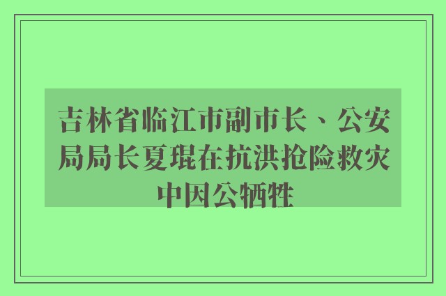 吉林省临江市副市长、公安局局长夏琨在抗洪抢险救灾中因公牺牲