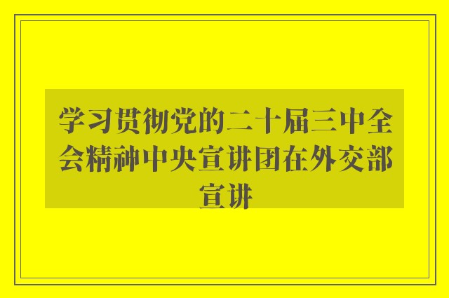 学习贯彻党的二十届三中全会精神中央宣讲团在外交部宣讲