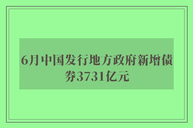 6月中国发行地方政府新增债券3731亿元