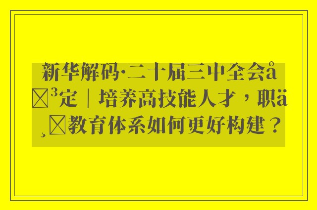 新华解码·二十届三中全会决定｜培养高技能人才，职业教育体系如何更好构建？