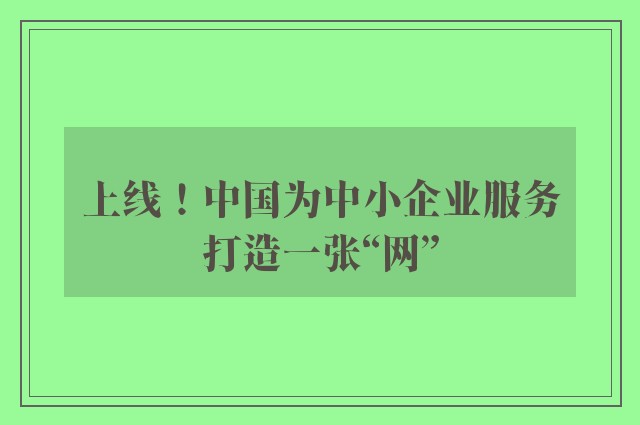 上线！中国为中小企业服务打造一张“网”