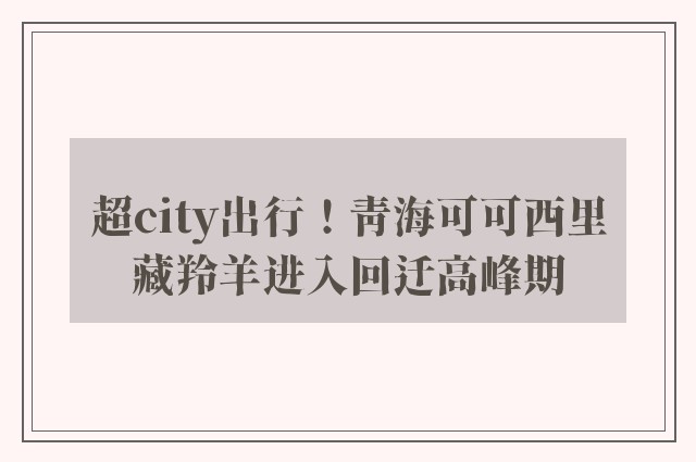 超city出行！青海可可西里藏羚羊进入回迁高峰期