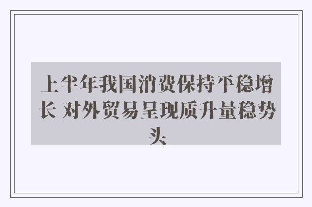 上半年我国消费保持平稳增长 对外贸易呈现质升量稳势头