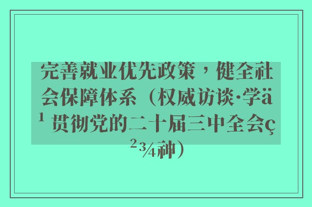 完善就业优先政策，健全社会保障体系（权威访谈·学习贯彻党的二十届三中全会精神）