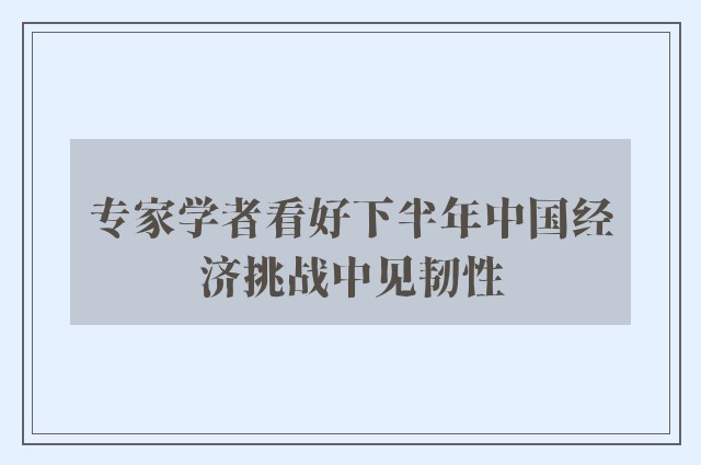 专家学者看好下半年中国经济挑战中见韧性