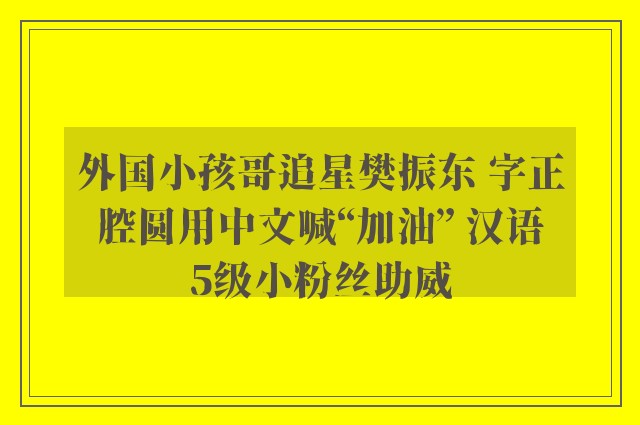 外国小孩哥追星樊振东 字正腔圆用中文喊“加油” 汉语5级小粉丝助威