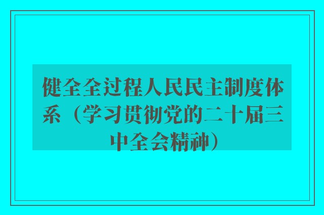 健全全过程人民民主制度体系（学习贯彻党的二十届三中全会精神）