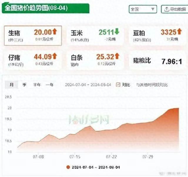 多地冲破20元/公斤！猪价今年涨幅超30% 养殖业盈利激增