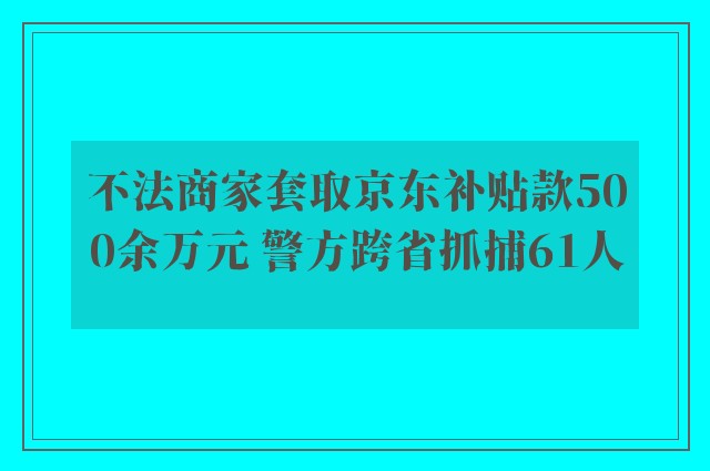 不法商家套取京东补贴款500余万元 警方跨省抓捕61人