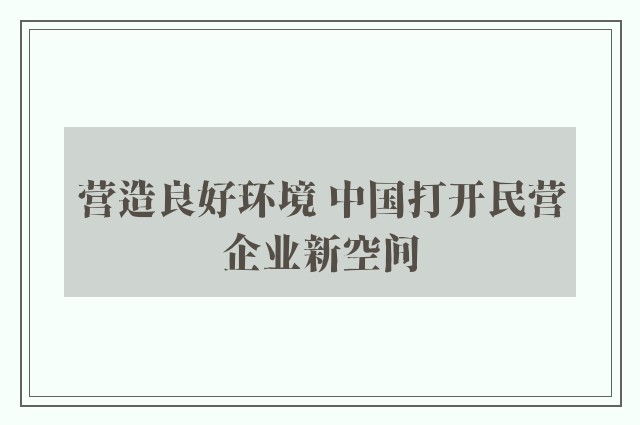 营造良好环境 中国打开民营企业新空间