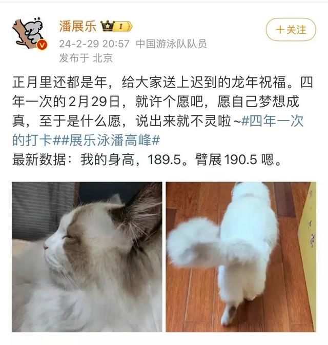 潘展乐：嘲讽和欢呼在水里都听不见！“竞技体育，不就是成绩说话吗？”！