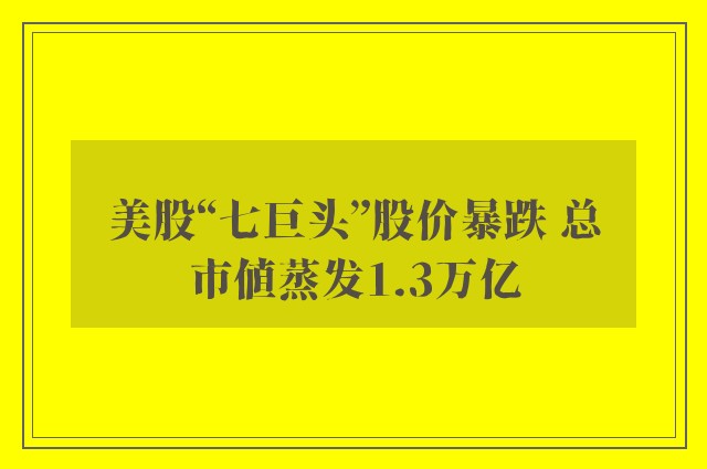 美股“七巨头”股价暴跌 总市值蒸发1.3万亿