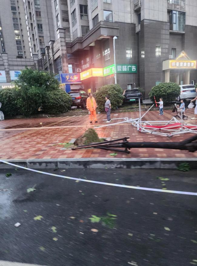 合肥狂风暴雨吹倒多棵大树 交通堵塞逾一小时