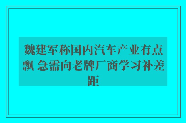 魏建军称国内汽车产业有点飘 急需向老牌厂商学习补差距