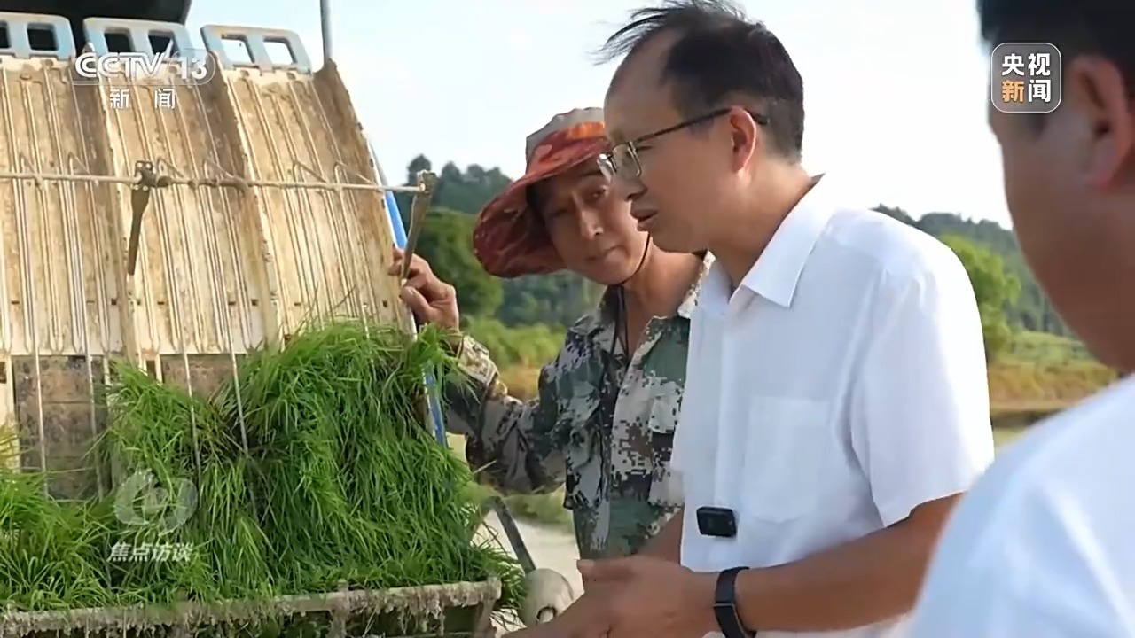 焦点访谈丨热浪滚滚，多地如何应对持续高温“烤”验？