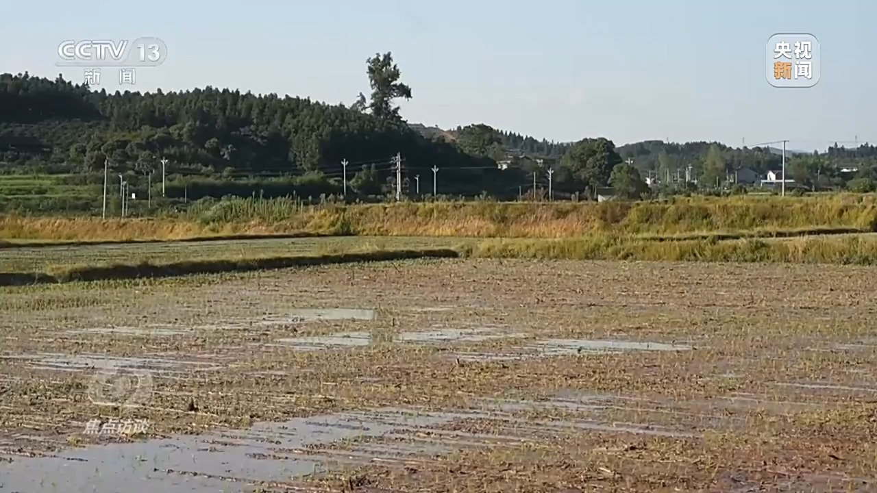 焦点访谈丨热浪滚滚，多地如何应对持续高温“烤”验？