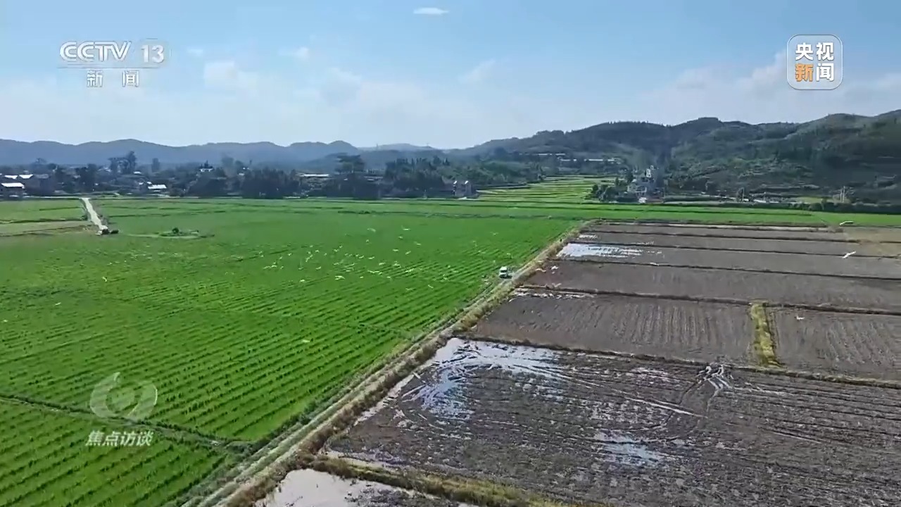 焦点访谈丨热浪滚滚，多地如何应对持续高温“烤”验？