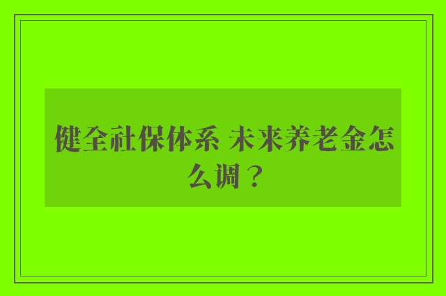 健全社保体系 未来养老金怎么调？