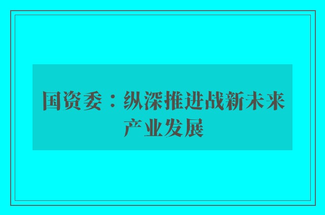 国资委：纵深推进战新未来产业发展