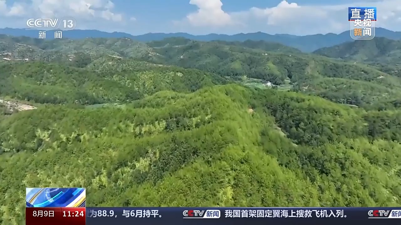 “火焰荒山”→“金山银山” 一起去看福建长汀的治荒秘籍