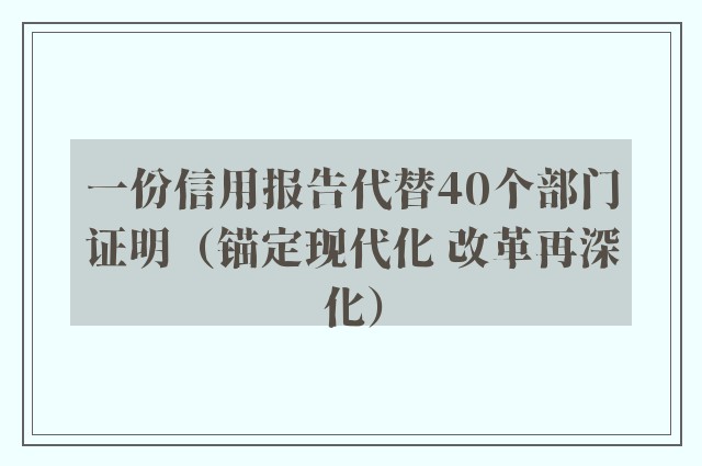 一份信用报告代替40个部门证明（锚定现代化 改革再深化）