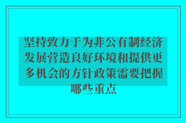 坚持致力于为非公有制经济发展营造良好环境和提供更多机会的方针政策需要把握哪些重点