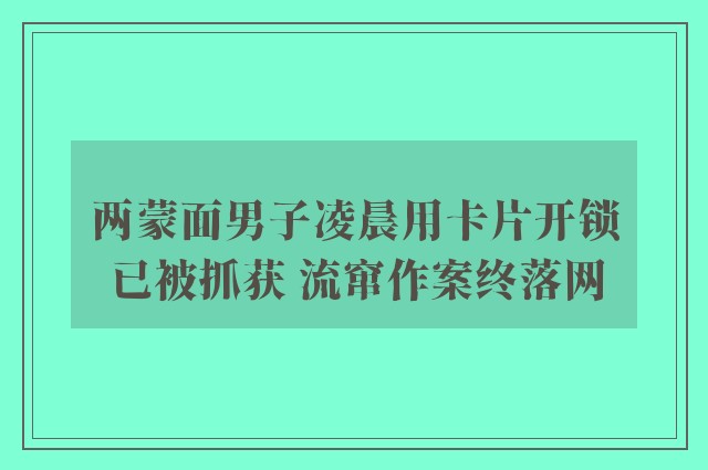 两蒙面男子凌晨用卡片开锁已被抓获 流窜作案终落网