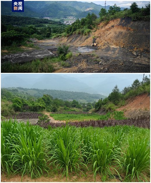 高质量发展调研行丨废弃矿山“蝶变记” 矿区开出美丽蝴蝶兰