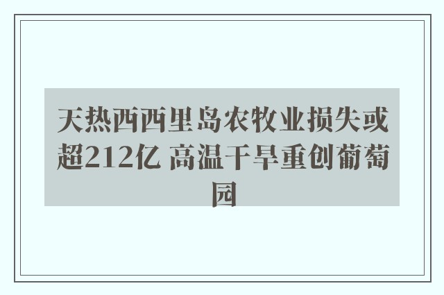 天热西西里岛农牧业损失或超212亿 高温干旱重创葡萄园