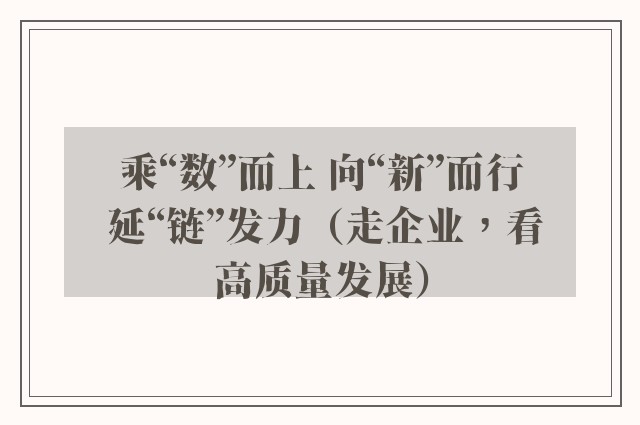 乘“数”而上 向“新”而行 延“链”发力（走企业，看高质量发展）