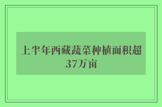 上半年西藏蔬菜种植面积超37万亩