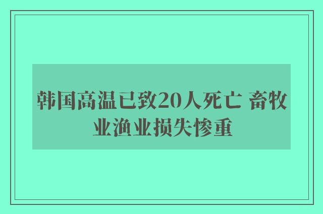 韩国高温已致20人死亡 畜牧业渔业损失惨重