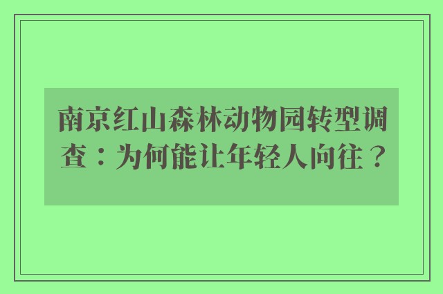 南京红山森林动物园转型调查：为何能让年轻人向往？