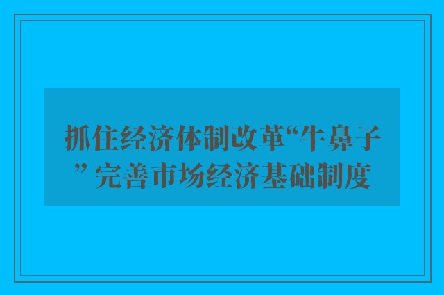 抓住经济体制改革“牛鼻子” 完善市场经济基础制度