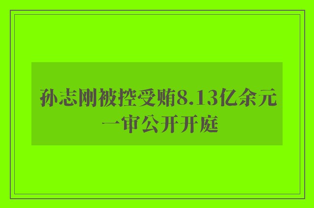 孙志刚被控受贿8.13亿余元 一审公开开庭