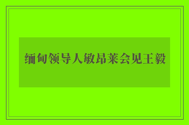 缅甸领导人敏昂莱会见王毅