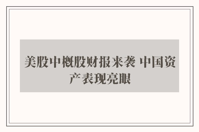 美股中概股财报来袭 中国资产表现亮眼