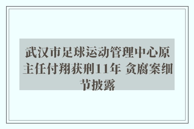 武汉市足球运动管理中心原主任付翔获刑11年 贪腐案细节披露