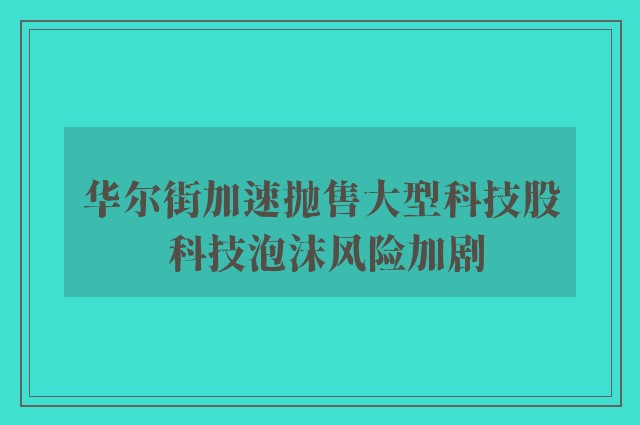 华尔街加速抛售大型科技股 科技泡沫风险加剧