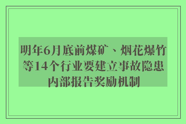 明年6月底前煤矿、烟花爆竹等14个行业要建立事故隐患内部报告奖励机制