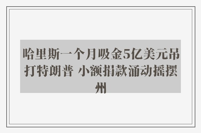 哈里斯一个月吸金5亿美元吊打特朗普 小额捐款涌动摇摆州