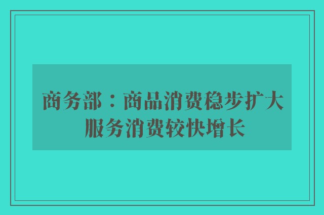 商务部：商品消费稳步扩大 服务消费较快增长