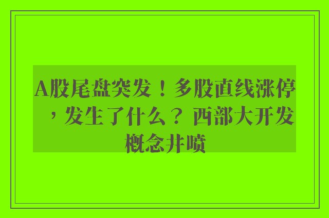 A股尾盘突发！多股直线涨停，发生了什么？ 西部大开发概念井喷