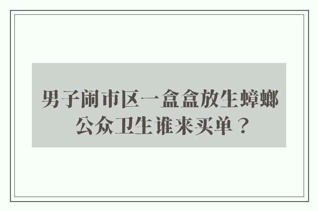 男子闹市区一盒盒放生蟑螂 公众卫生谁来买单？