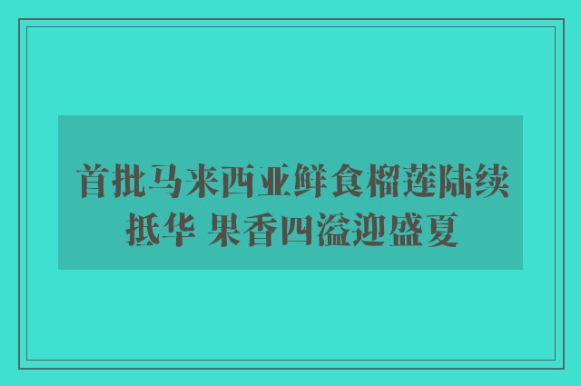 首批马来西亚鲜食榴莲陆续抵华 果香四溢迎盛夏