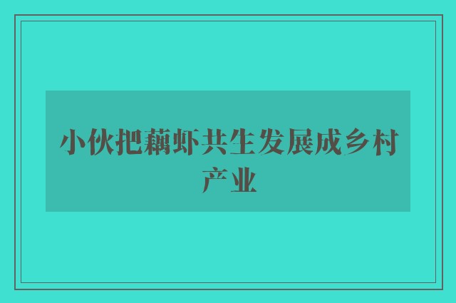 小伙把藕虾共生发展成乡村产业