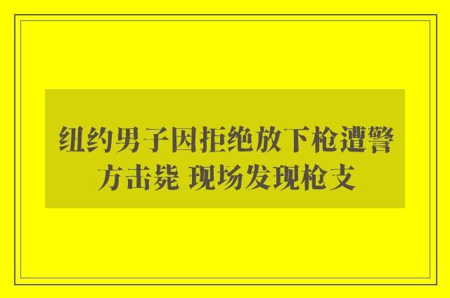 纽约男子因拒绝放下枪遭警方击毙 现场发现枪支